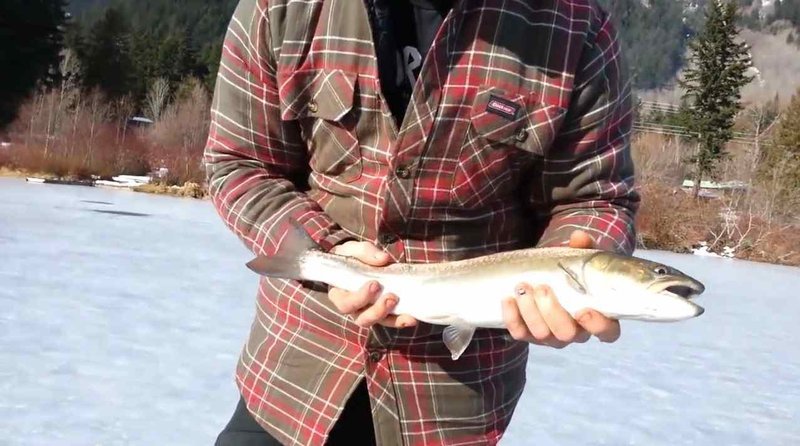 Reeling in Rewards on Canadian Ice: An Exciting Ice Fishing Experience